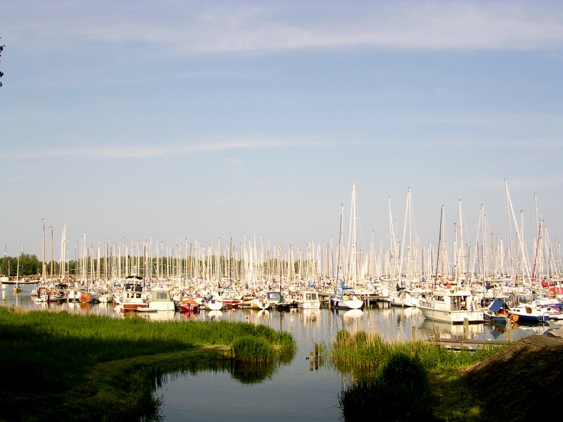 dscn4600