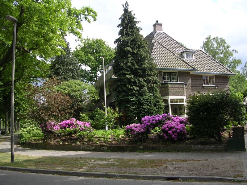 dscn4453